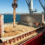 Ucrania y Rusia : fuente de 1/3 de las importaciones de cereales de la UE