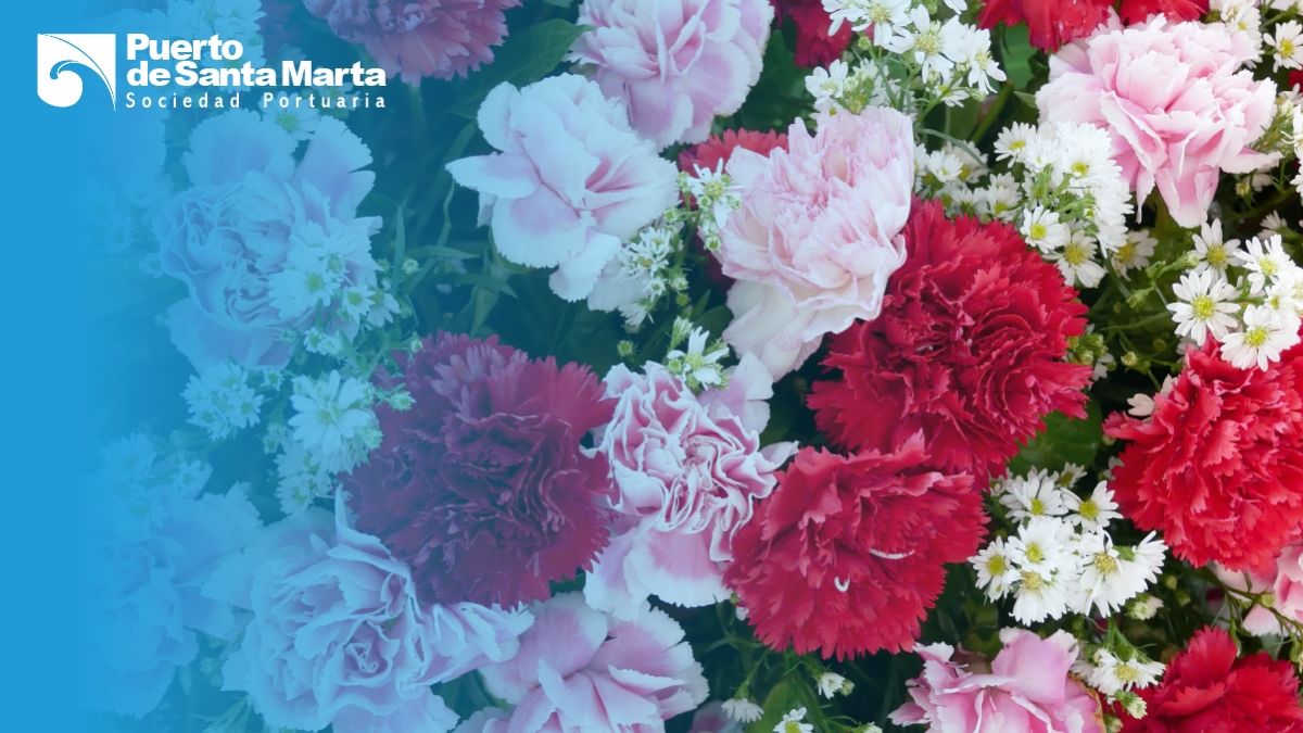 Exportación de flores desde el Puerto de Santa Marta creció 55% en 2019