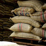 Exportaciones de café colombiano en contenedores crecieron en julio un 1% interanual