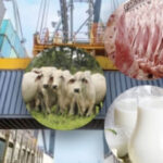 Exportaciones ganaderas sobrepasaron los USD 300 millones en julio