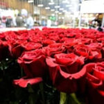 La flor colombiana es una de las más exportadas a nivel mundial