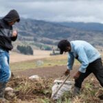 Los altos costos de producción están afectando las exportaciones del agro
