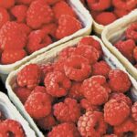 Exportación de frutillas como berries y arándanos aumentó 8.78% en el primer semestre de 2022: Sader