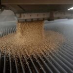 Futuros de la soja en EEUU suben por alza de exportaciones; el maíz y el trigo, avanzan
