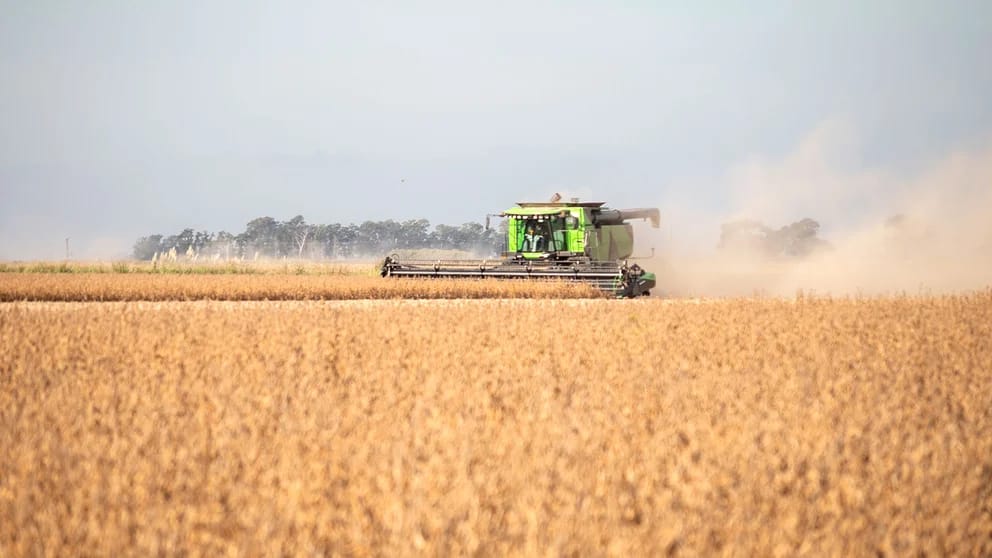 El precio de la soja cayó casi un 2% ante la posibilidad de que se extienda el corredor de granos entre Rusia y Ucrania