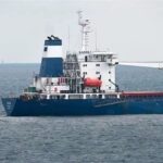 Dos buques cargados de cereales zarparon de puertos ucranianos rumbo a Turquía