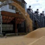Las exportaciones ucranianas de grano han bajado casi un 32% en lo que va de temporada -ministerio