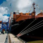 Ventas del sector agrícola hacia Estados Unidos llegaron a 3.803 millones de dólares