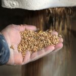 La ONU nombra a un nuevo coordinador para la iniciativa de exportación de grano desde puertos de Ucrania