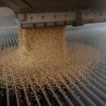 Sólido informe de exportaciones provoca un repunte en el trigo, el maíz y la soja de EEUU