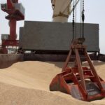 Las exportaciones ucranianas de grano bajan un 30,8% en lo que va de 2022/23: ministerio