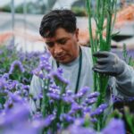 El sector florícola considera que Canadá es un mercado con potencial
