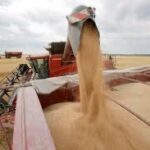 ¿Cómo América Latina pasó de la crisis a la oportunidad a raíz de la guerra en Ucrania?