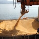 Se disparan importaciones de soja tras levantamiento de restricciones chinas Covid-19