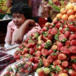 Estas son las cinco frutas colombianas que más se exportan