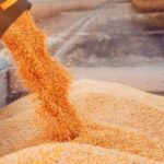 La Comisión Europea establece medidas para facilitar las importaciones de grano desde Ucrania