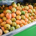 Más de 300 campesinos del Magdalena están detrás de exportación de mango de azúcar a EE.UU