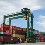 Exportaciones de arándanos rojos desde EU aumentaron un 80%