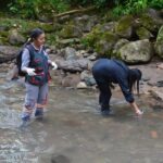 Cobre y Níquel, nuevas oportunidades de exportación para Colombia