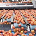 Sigue la sangría en la exportación de frutas y hortalizas y las importaciones se disparan