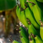 A pesar de menores exportaciones, Estados Unidos se mantiene como principal destino de ventas colombianas