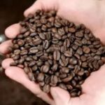 Colombia perdería US$ 1.900 millones de exportaciones del agro