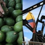 Estos son los productos que más ha exportado Colombia este 2023