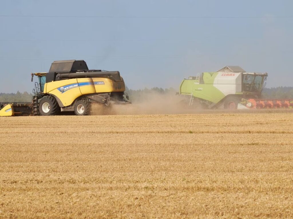 Ucrania se enfrenta a cinco países de la Unión Europea por la exportación de grano