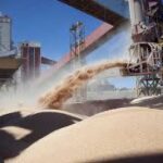 Argentina: caída de las exportaciones de harina de soja
