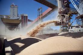 Argentina: caída de las exportaciones de harina de soja