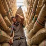 Baja producción, importaciones y desplome de precios: la crisis cafetera que está a punto de estallar