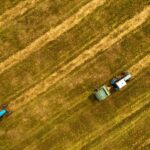 Alto cargo señala que Rusia usa vías alternativas al mar Negro para exportaciones agrícolas