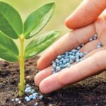 La industria de fertilizantes sigue preocupada por las importaciones y hace una advertencia por el maíz tardío