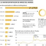 Más de 140 países están afectados por restricción de India a la exportación de arroz