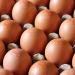 Tras aprobación de requisitos, Cuba dio luz verde para que Colombia exporte huevos